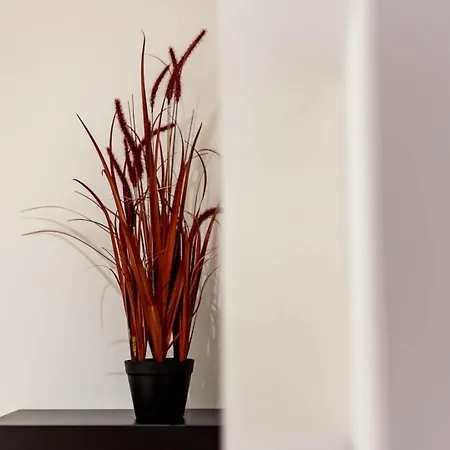 Apartment Quiet Center Ail